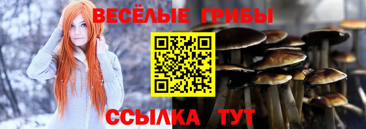 Псилоцибиновые грибы MAGIC MUSHROOMS  Псилоцибиновые грибы Psilocybe  Вход с VPN  Чехов 